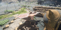 how-to-repair