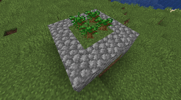 grow_dark_oak