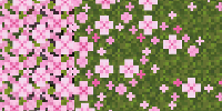 cherry