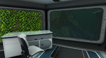 window