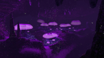 magnetitebiome